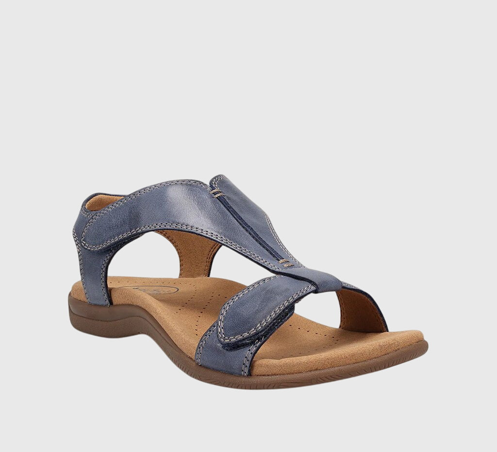 Blue / 11 US | 42 EU